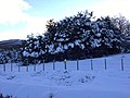 Dekat Punta Arenas Ski Centre.