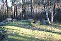 Dolmen de Mané-Ven-Guen.