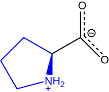 Fiziološki model prolina