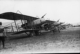 Les oiseaux de France en Roumanie, alignés sur un terrain d'aviation - Médiathèque de l'architecture et du patrimoine - AP62T103216.jpg