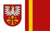 Vlag van Dąbrowa Tarnowska