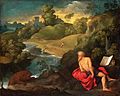 St. Jerome in the Wilderness (c. 1520-25), Paris Bordone.