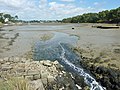 La ria du Ruisseau du Pont de Lohac à marée basse vue depuis la digue du moulin de Pomper.