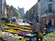 Blomstermarkede i Mons.