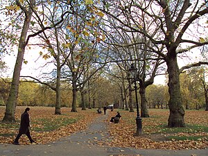 Green Park syksyllä.