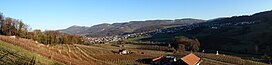 Panoramablick nach Aesch von dem oberen Rebbergweg in der Klus aus gesehen