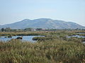 Paraje Natural del Prat de Cabanes-Torreblanca