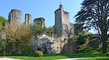 Ruines du château de Vendôme.