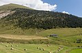 * Nomination View of a farm down from Coll de Ordino to Canillo. Andorra-310 --Lmbuga 01:21, 22 December 2013 (UTC) At least 3 dust spots in the blue sky area Poco a poco 09:35, 22 December 2013 (UTC) Thanks and sorry  Done (4 dust spots)--Lmbuga 16:54, 23 December 2013 (UTC) * Promotion Good quality. --Poco a poco 22:32, 23 December 2013 (UTC)