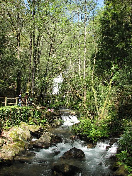 File:Vista do Parque da Cabreia.jpg