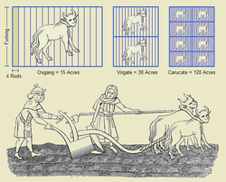 This derivative work depicts six historical units of land measurement: the furlong, the rod, the oxgang, the virgate, the carucate, and the acre.