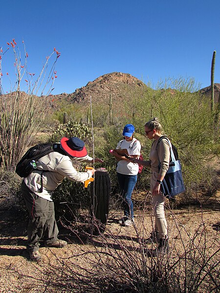 File:Arizona College Prep Academy (3d023622-1dd8-b71b-0bb5-fcde3cdad80e).JPG