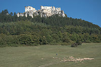 Lietava castle Author: Schliemann