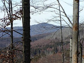 Blick zum Großen Rachel