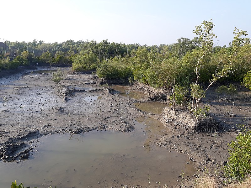 File:Sajnekhali wildlife sanctuary and others part of Sundarbans 02.jpg