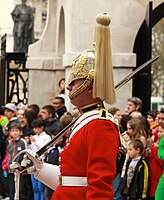 יחידת משמר החיים (The Life Guards)