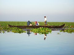 Turistas en un bote del país en el Vembanad