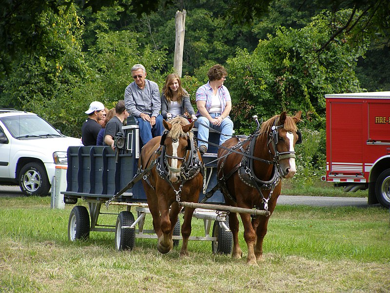 File:Wagon Ride P9190070.jpg