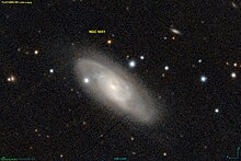 NGC 5051 PanS.jpg