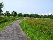 Trail through an open field near the airport