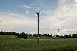 Parc du Doubs cassinam 39.jpg