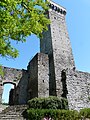 La torre e i ruderi del castello