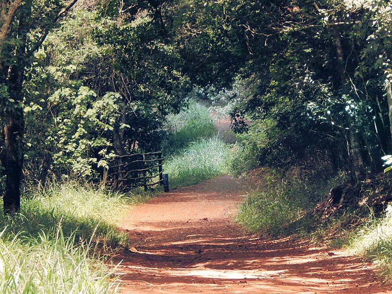 File:Karura bridge.jpg