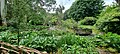 Pond with South American plants