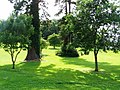 Woodland on the Palace grounds