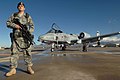 A guard in front of an airplane