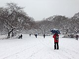 雪景色（2014年2月）