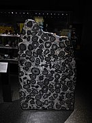 National Museum of Scotland - Orbicular granodiorite.jpg