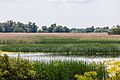 Canneto sul delta del Danubio, in Romania