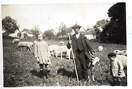 Brebis de race Lourdaise, dans le can de case à Bourréac, en 1936