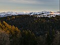 Hirschberg am Pfänderrücken, im Hintergrund Hoher Ifen und Winterstaude