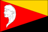 Bandeira de Litohlavy