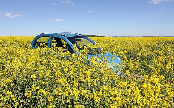 Sächsische Landschaft im Frühling. Erzgebirgskreis.