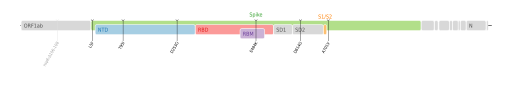 Les mutations du variant Iota sur une carte génomique du SARS-CoV-2