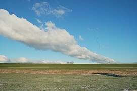 Stratocumulus radiatus