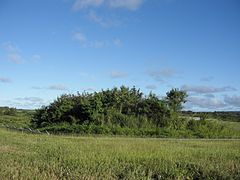 Tinian International Airport - panoramio (1).jpg