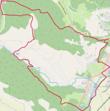 Carte OpenStreetMap