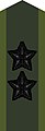 Collar patch m/58 (black m/02) on field uniform M90 (2002–present)