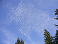 Cirrocumulus mamma with Cirrocumulus floccus lacunosus undulatus