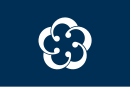 Drapeau de Odawara-shi