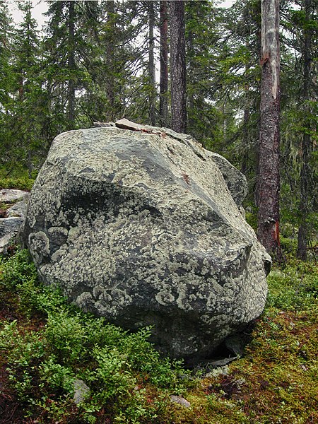 File:Камень "Череп динозавра". Stone " Dinosaur Skull".jpg