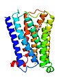 5-HT1E-Rezeptor