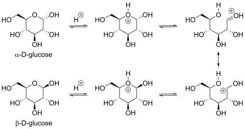 Widely proposed arrow-pushing mechanism for acid-catalyzed dynamic equilibrium between the α- and β- anomers of D-glucopyranose