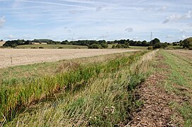 Drain near Marsh Quarter Farm - geograph.org.uk - 2575240.jpg