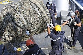 Emergenza ecoballe Golfo di Follonica - 50221696968.jpg