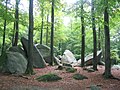 Altarstein-Gruppe im Felsenmeer bei Reichenbach